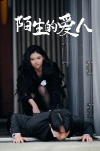 陌生的愛人